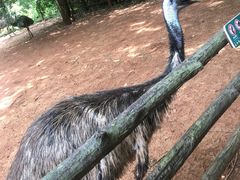-海南热带野生动植物园