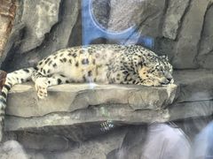 -青藏高原野生动物园