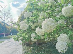 -杭州城北体育公园