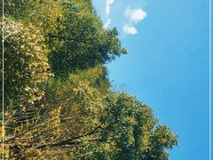 -萍乡武功山风景名胜区