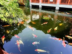-香麒园·过桥米线·南湖雅宴
