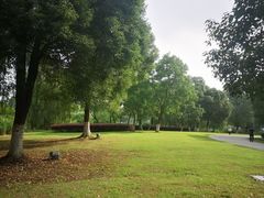 -九里河湿地公园