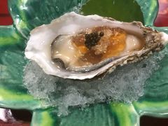 -虎吟こぎん
