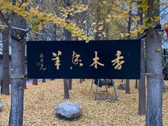 -香木香羊(小汤山店)