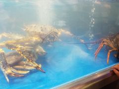 -盒马鲜生(大成店)