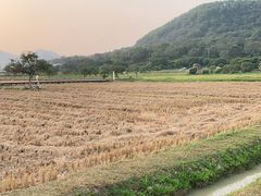 -艾米稻香小镇