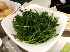 豌豆尖-海底捞火锅(银泰中心店)