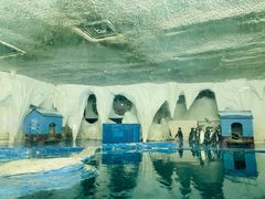 -太平洋海底世界