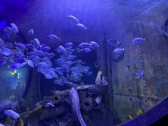 -成都浩海立方海洋公园