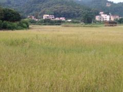 -红山村