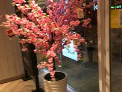 -麦当劳(塔园路店)