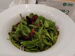 -飞鹿餐饮·陕南菜(北关店)