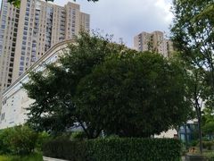 -名流健康高端体检中心·名宾门诊·健康管理