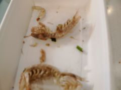 -盒马鲜生(解百新元华店)