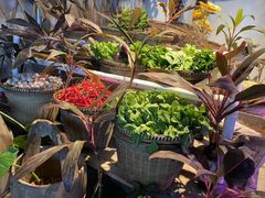 -湖南别院·美学庭院餐厅(惠阳店)