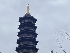 -重庆园博园