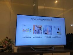 -奥斯芬欧系贵族SPA