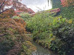 -中国茶叶博物馆(双峰馆区)