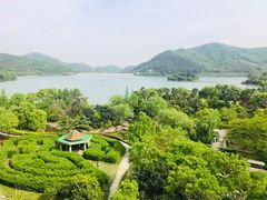 -宁波九龙湖开元度假村