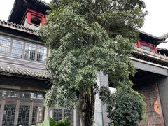 -龙潭水乡