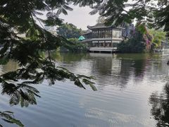 -荔湾湖公园