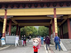 -南京市江宁方山