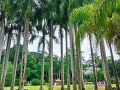 -中国科学院西双版纳热带植物园