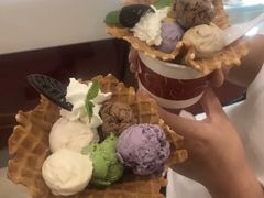 -哈根达斯(石家庄北国店)