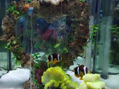 -太平洋海底世界