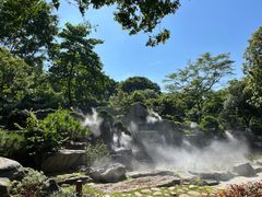 -东莞植物园