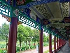 -洪湖生态旅游区