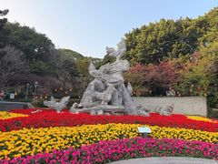 -金鸡山公园