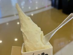 -野人先生Gelato(上海长宁龙之梦店)