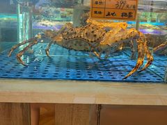 -小渔船渔家传统菜(鲅鱼圈店)