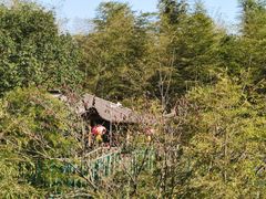 -陶祖圣境风景区