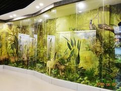 -下渚湖国家湿地公园科普馆