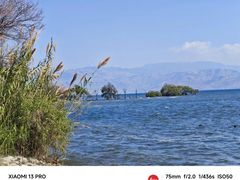 -洱海月湿地公园