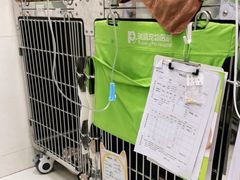 -瑞鹏宠物医院·微创内窥镜·骨外科·牙科(翠竹分院)