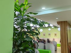 -学知乐教育·幼小衔接·小学科辅导(嘉定镇校区)