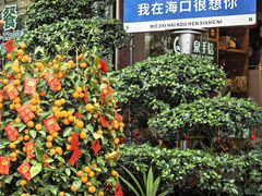 -龙泉人椰子鸡(龙昆南店)
