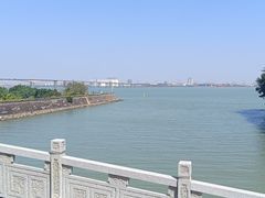 -大湾区中央湿地公园