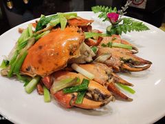 姜葱炒肉蟹-新南华大酒店(长寿店)