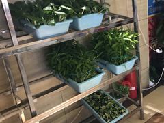 -好口福私房菜(太元路店)