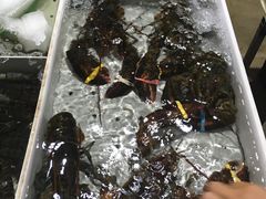 -十四涌水产中心