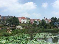 -大塘金香草谷