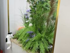 -山也·私厨(岳麓店)