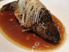 罾蹦鲤鱼-津菜典藏河西店(水上店)