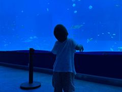 -深业幸福家香蜜湖街道普惠性托育园(合正置地园区)