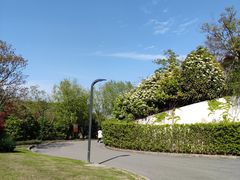 -吴淞炮台湾湿地森林公园烧烤区