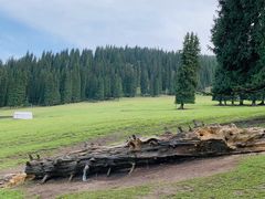 -新疆那拉提国家旅游度假区